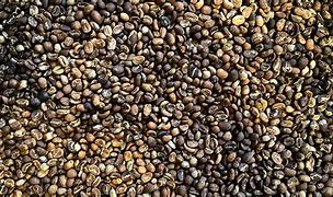 Image result for Minimally Roasted Coffee Beans