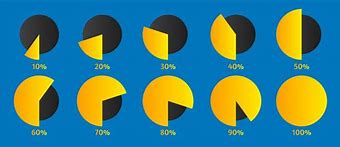 Image result for Pie-Chart 100