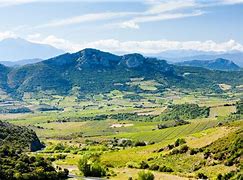 Image result for Languedoc-Roussillon Wine Region