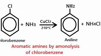 Image result for Aromatic Amine