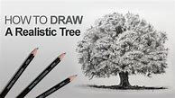 Image result for Tree Art Sketch