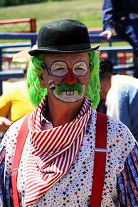 Image result for Rodeo Clown Halloween Costume