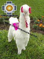 Image result for Giant Llama