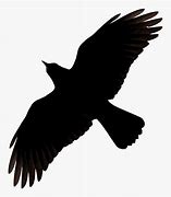 Image result for Crow Raven Clip Art