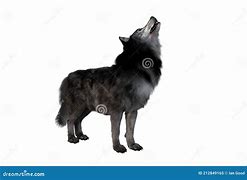 Image result for Grey Dire Wolf