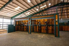 Image result for Tarleton Rodeo Team