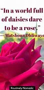 Image result for Rose Quotes