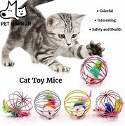 Image result for Cat Toy Mouse Chase