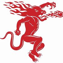 Image result for Fireball Whisky Dragon