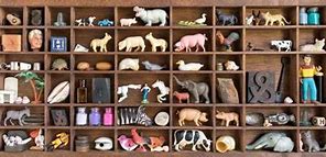 Image result for People Who Collect Things Book