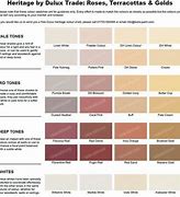 Image result for Dulux Inca Orange