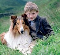 Image result for Lassie Show