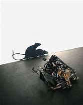 Image result for Trash Shadow Art