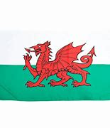 Image result for Welsh National Flag