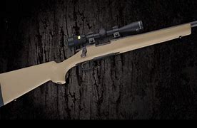 Image result for Remington 700 BDL Rifle Stocks