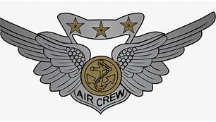 Image result for USAF Aircrew Wings