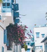 Image result for Sidi Bou Said Tunisia HD