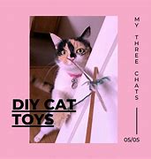 Image result for DIY Cat Toys Simple