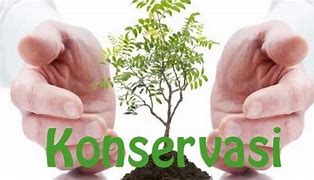 Image result for Konservasi Jpg