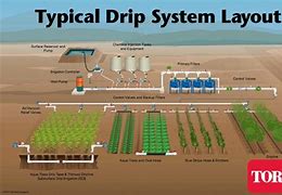 Image result for Large-Scale Drip Irrigation Systems