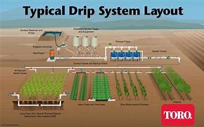 Image result for Drip System