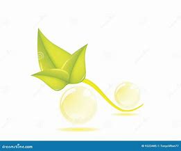 Image result for Preserve Nature Icon