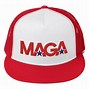 Image result for Maga Painted On Barn