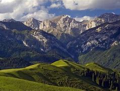 Image result for Planina Wallpaper