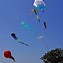 Image result for Beach Kite Flying