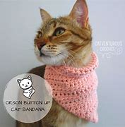 Image result for Barn Cat with Bandana