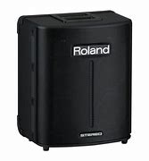 Image result for Roland Speakers