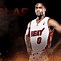 Image result for Miami Heat 2013