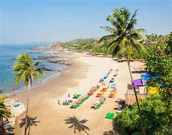 Image result for Goa Baga Foreign