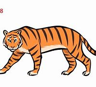 Image result for Tiger Skeleton Drawing