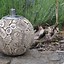 Image result for Ceramic Oil Lamp