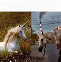 Image result for Female Unicorn Meme