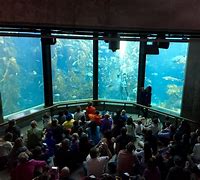 Image result for Morro Bay Aquarium