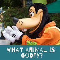 Image result for Big Goofy Dog