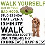 Image result for Funny Quotes About Walking