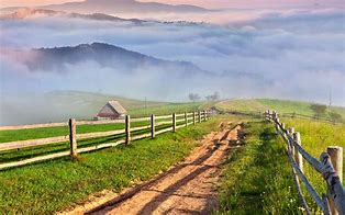 Image result for Australian Country Scenes