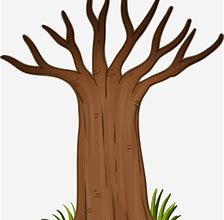 Image result for Tree Trunk Texture Cartoon