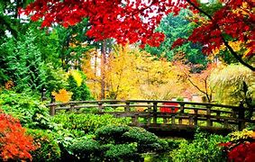 Image result for Ancient Japanese Landscape