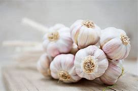 Image result for Bad Garlic