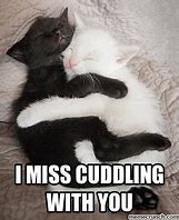 Image result for Memes Me and BAE Cuddling