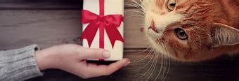 Image result for Gifts for Cat People