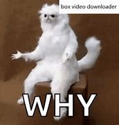 Image result for The Why Files GIF