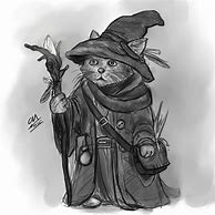 Image result for Wizard Cat Art