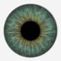 Image result for 6000K Eye Texture