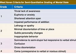 Image result for Hepatic Encephalopathy MRI