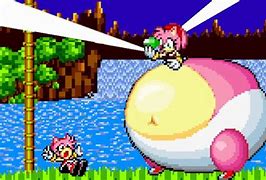 Image result for Fat Amy Rose Sprites